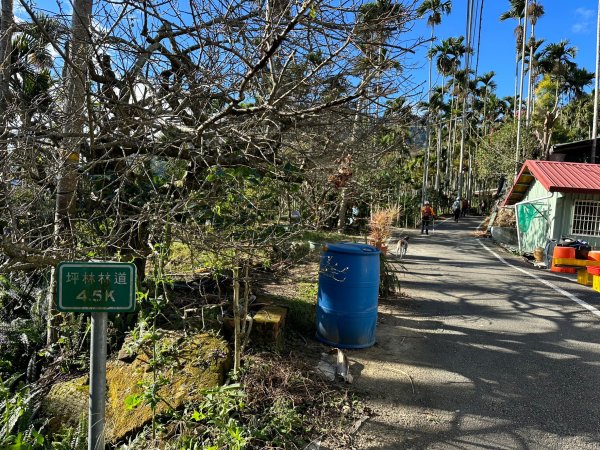 坪林林道走到線浸林道登馬路麻山和線浸山2384789