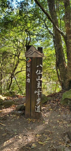 谷關七雄老大-八仙山谷關七雄主峰步道2361212