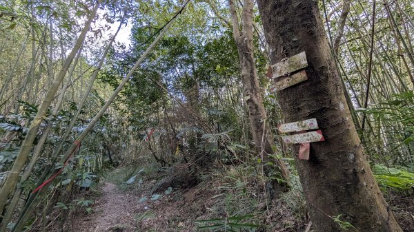 114.11.23龍泉山寺-成福山-十八羅漢岩-石門內尖山-石門內尖山東峰之旅2943743