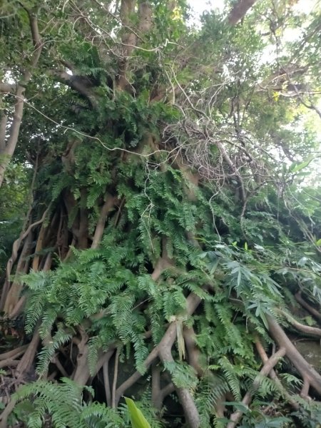 基隆一日雙塔2788171