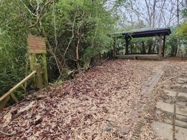 20260301濫坑山與鹿廚坑山3027262