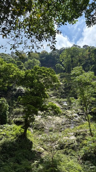 戲水（鴛鴦2786732