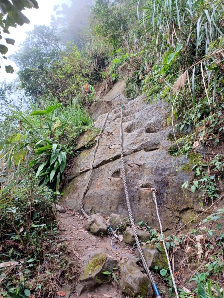 【台南白河】雞籠山+九龍山+大凍山O繞縱走2797144