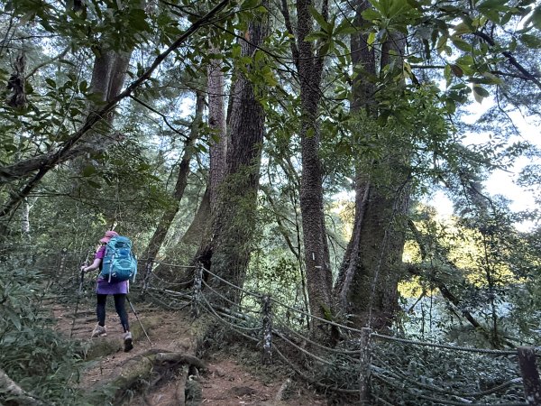 馬崙山 202509062889327