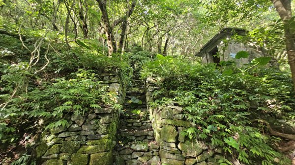 20250808內柑宅古道-紅葉谷瀑布2857230