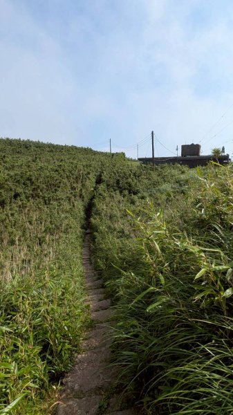 大屯山主峰步道3067639