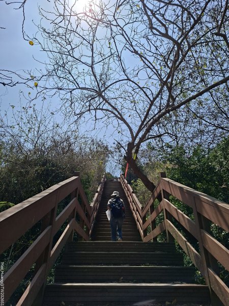 《高雄》泥岩惡地｜漯底山自然公園大O繞順訪永安、茄萣濕地202603133014676