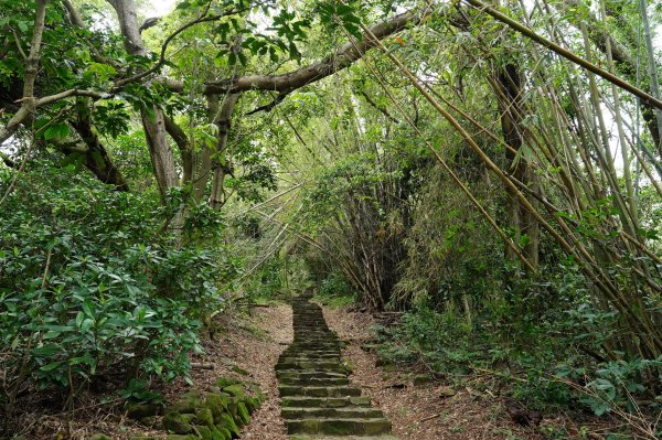 臺北 北投 嘎嘮別山、稻香山、貴子坑山2760539