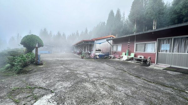 絕美柳杉林民都有山涼爽舒適2604534