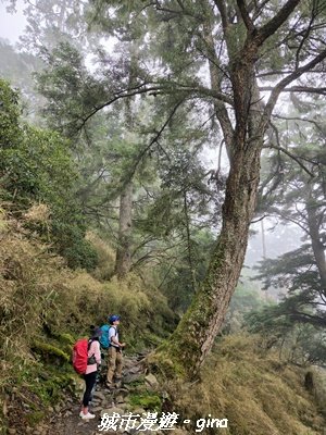 【南投信義】排雲山莊 x#15百岳_玉山西峰3111628