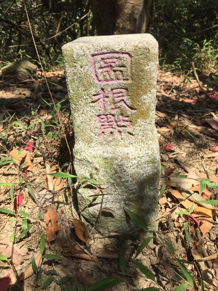 20220305高雄兔和山1633582