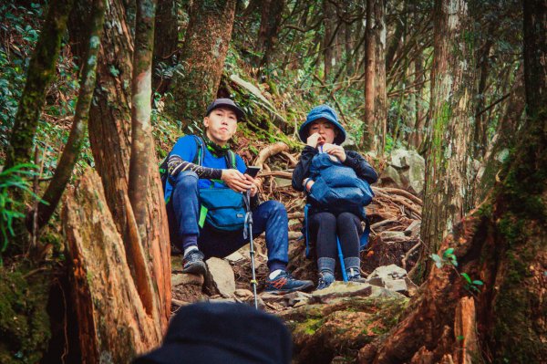 八唐縱走(八仙山/唐麻丹山)-有困難喔~1077564