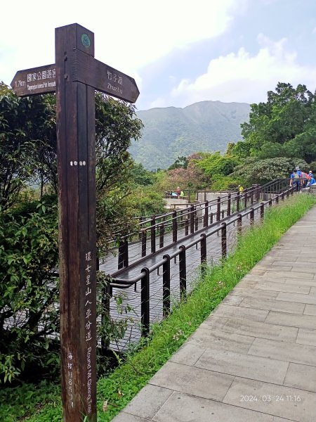 【發現陽明山】頂北投→陽峰古道→陽明山花鐘→陽明書屋→紫明溪步道→竹子湖海芋季2463810