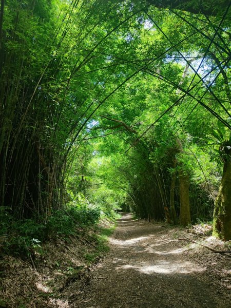 礁溪車站-跑馬古道-迴音谷瀑布-鵲子山2826643