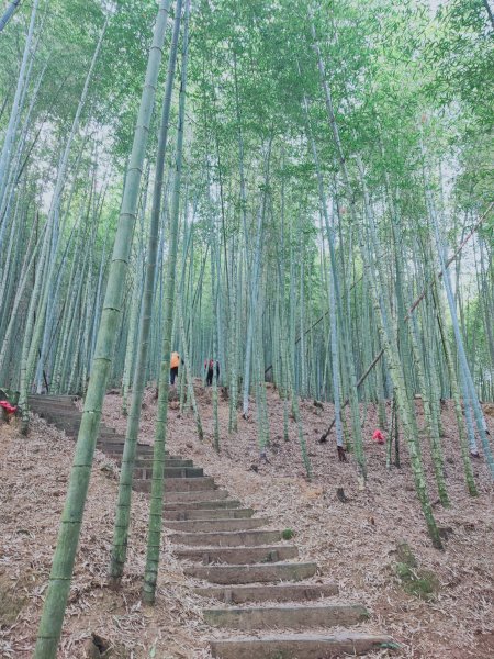 嘉南雲峰、石壁山登山步道1304055