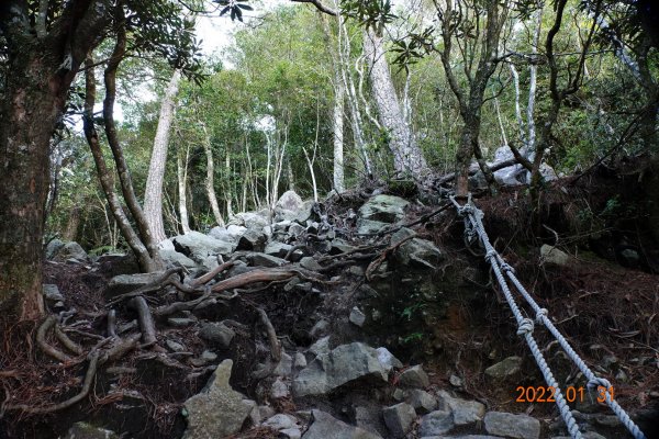 臺中 和平 鳶嘴山1597285