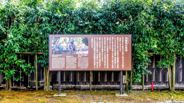 熊本水前寺成趣園,熊本城3028450