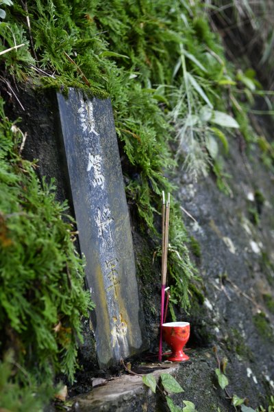 被遺忘的南港山角落：樹梅古道1444322