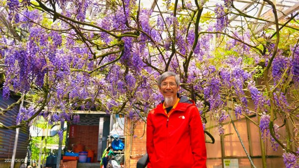 追花是簡單的快樂，賞花是恬淡的幸褔 4/32751451