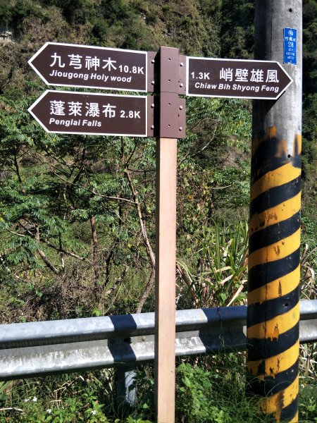 茄苳步道、峭壁雄風步道1267594