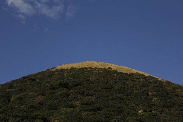 向天山面天山秋日芒花海2321947