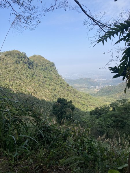 20260219九龍山+崩山+黑石崁山南峰+黑石崁山+凍仔頂山3002555