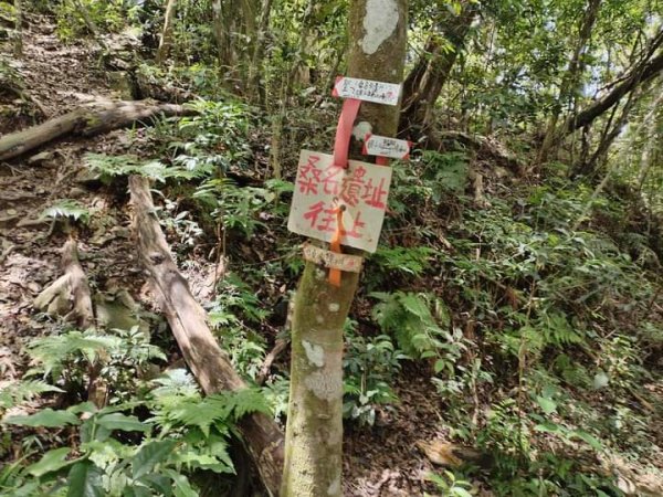 鳴海山-美雅上水泥車道,已修到7.6K.2562134