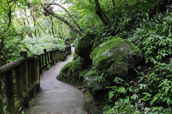 台北市虎山親山步道Ｏ型