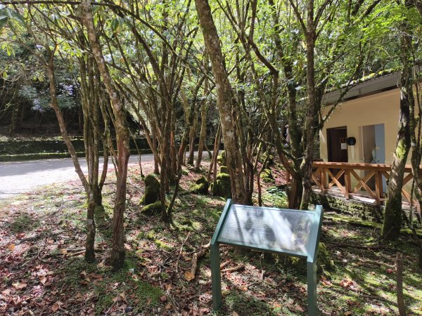 [玉山尋寶任務-09/12] 2025_0928 麟趾山步道2899878