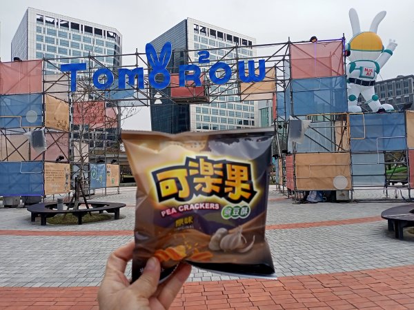 春暖花開的內湖文德三號公園、瑞陽公園、大港墘公園【齊心鞋力向前走】2025380