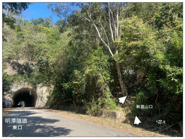 向山、向山遊客中心2747255