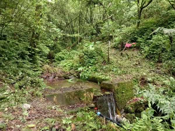 平溪區三功大厝+番子坑山+千階嶺步道O型2781116