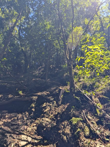 孕婦第一次的谷關七雄馬崙山2991626