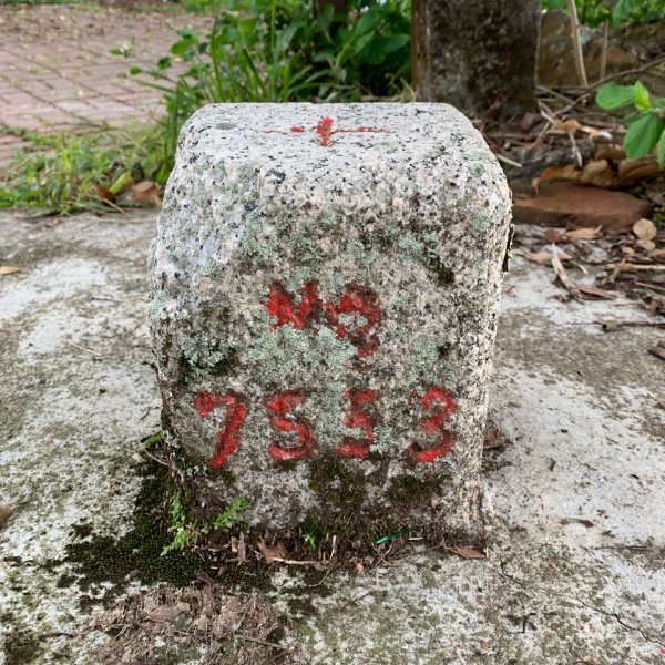 20250120高雄三縣界山-河表湖山-拉比嶺山-玉打山2697475