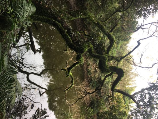 五酒桶山、南崁山2693336