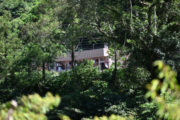 2025_0628 溪瀧步道2824964