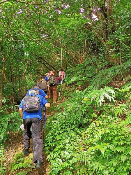 【瑞芳四秀】白象山(又名弘明山)→秀崎山→瑞芳山→龍潭山1651521