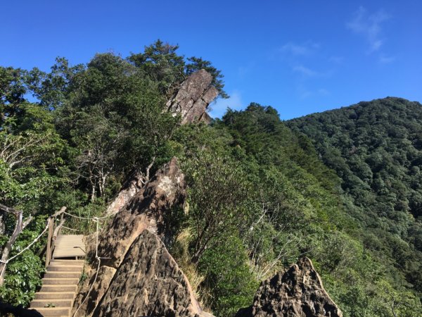 北得拉曼神木步道、內鳥嘴山、山毛櫸、瀑布2348791