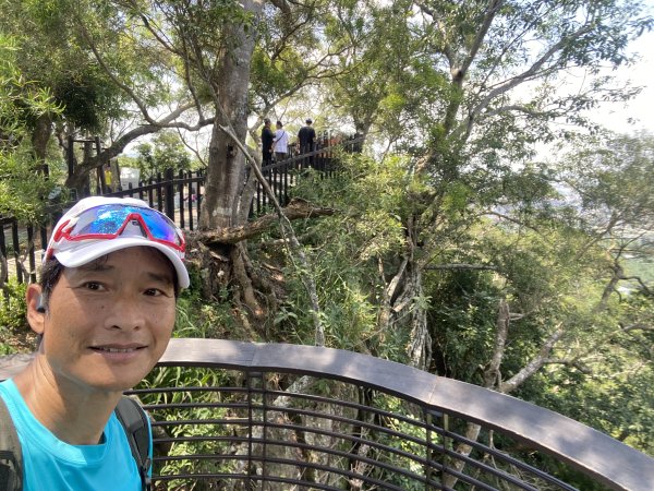 《夏日大坑同行記｜10號步道登稜線，與家人感受山風與人情味》2926350