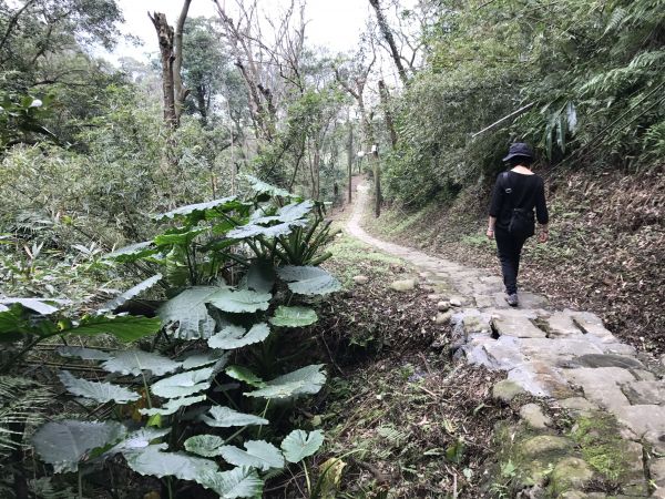 訪齋明寺環走御成路古道107457