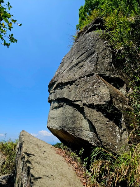 三腳南山-小百岳#65-嘉義縣大埔鄉2788707