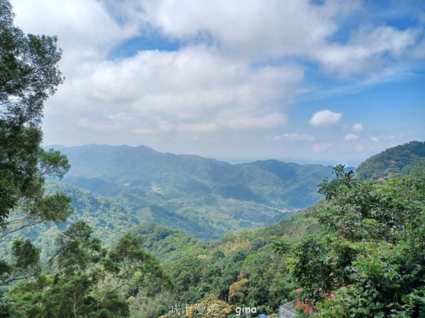 【苗栗獅潭】登頂前的陡坡攀爬很有感。 仙山登山步道2658441