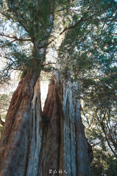 霞山鐵道野營2843063