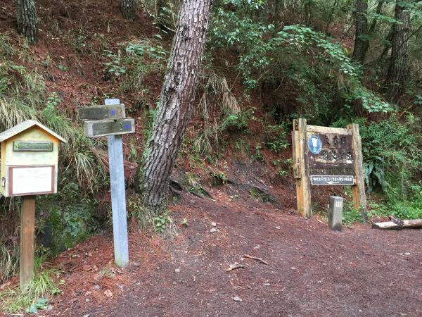 端午登山撤退遊記