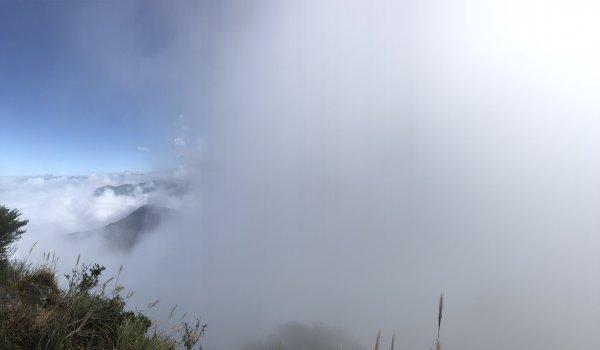 加里山登山步道（鹿場登山口啟登）721566