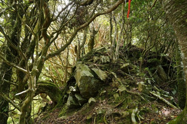 新竹 五峰 油羅山、霞山2798296