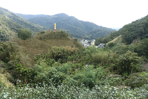 觀音台 水柳腳登山步道3085161
