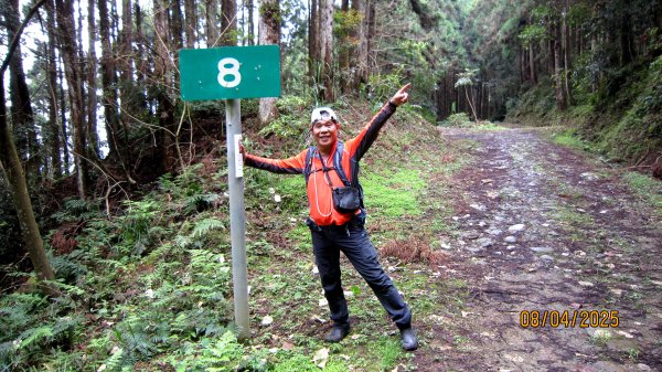 【油羅山/露營】 仙境舒活健走，雲端徜徉野趣！2887907