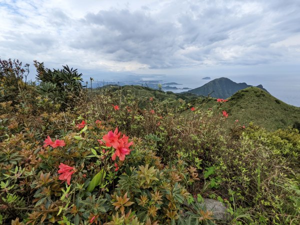 石尾路步道燦光寮山1655505