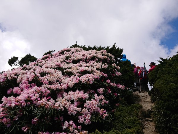 合歡山東峰1727727